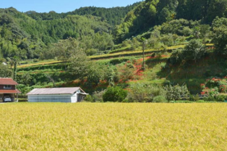 日本民宿体验