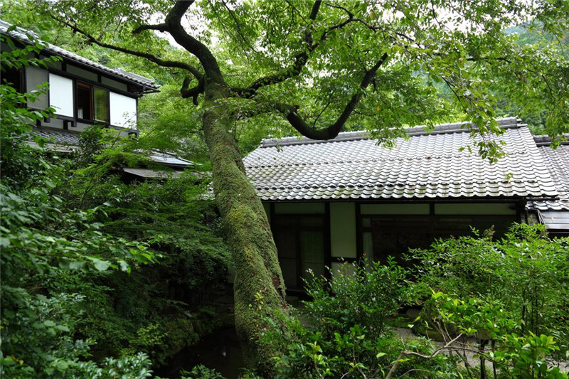 Kyo no Minshuku Ohara no Sato（大原之乡京民宿）