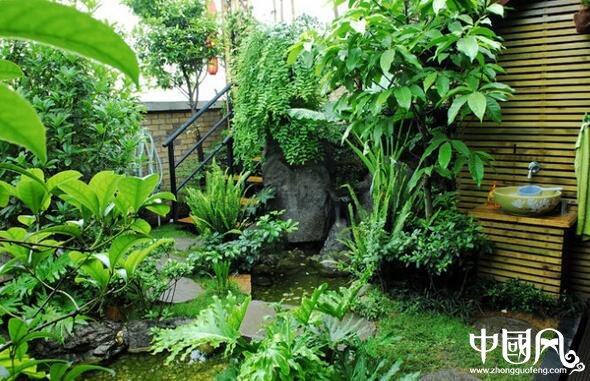 家居庭院的植物风水 中国风