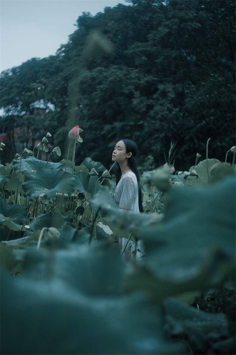 烟雨荷塘古装人物摄影照片