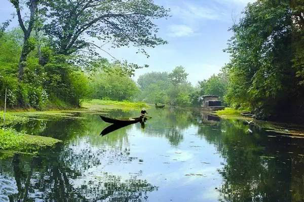 杭州西溪湿地不一样的风景