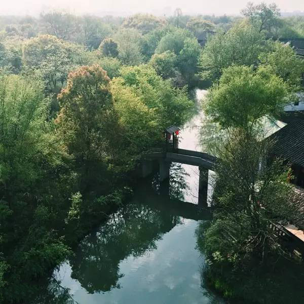 杭州西溪湿地不一样的风景