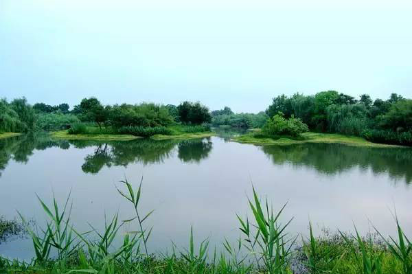 杭州西溪湿地不一样的风景