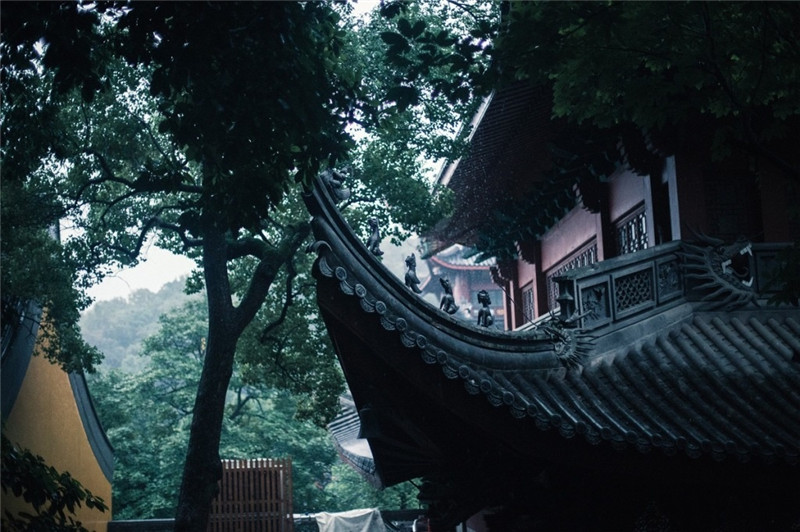 山中寺庙林间美景