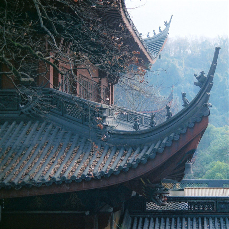 山中寺庙林间美景