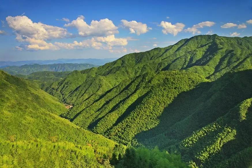 竹里云溪民宿设计，回归田园