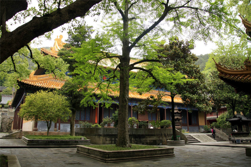 普陀三大寺之一——法雨寺