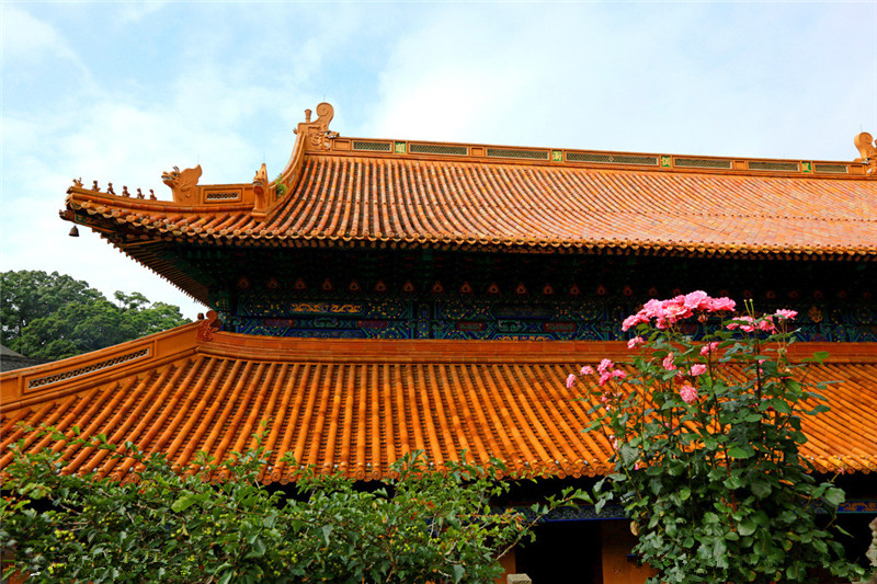 普陀三大寺之一——法雨寺