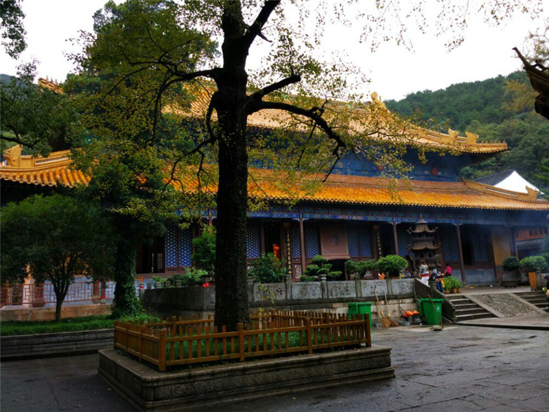 普陀三大寺之一——法雨寺