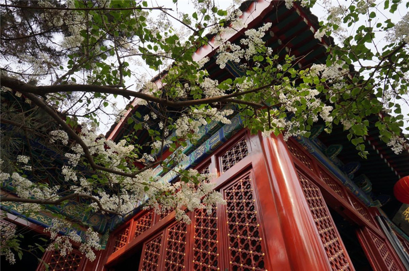 北京法源寺 佛教之胜地