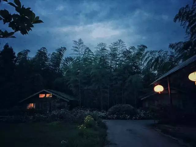 林中四舍民宿设计，一所鸟语花香的小木屋