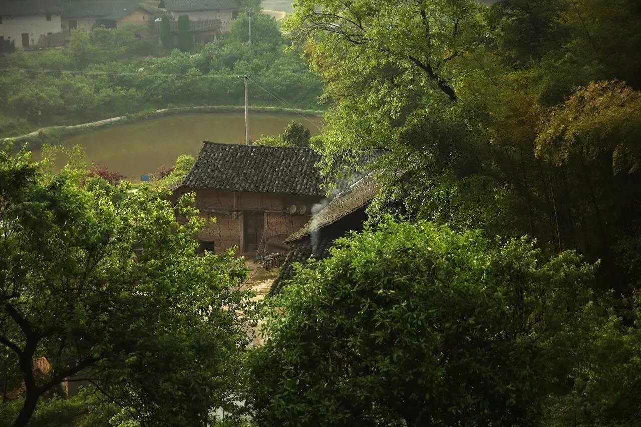 大来山树屋民宿，唤醒古老村庄留住青山绿水