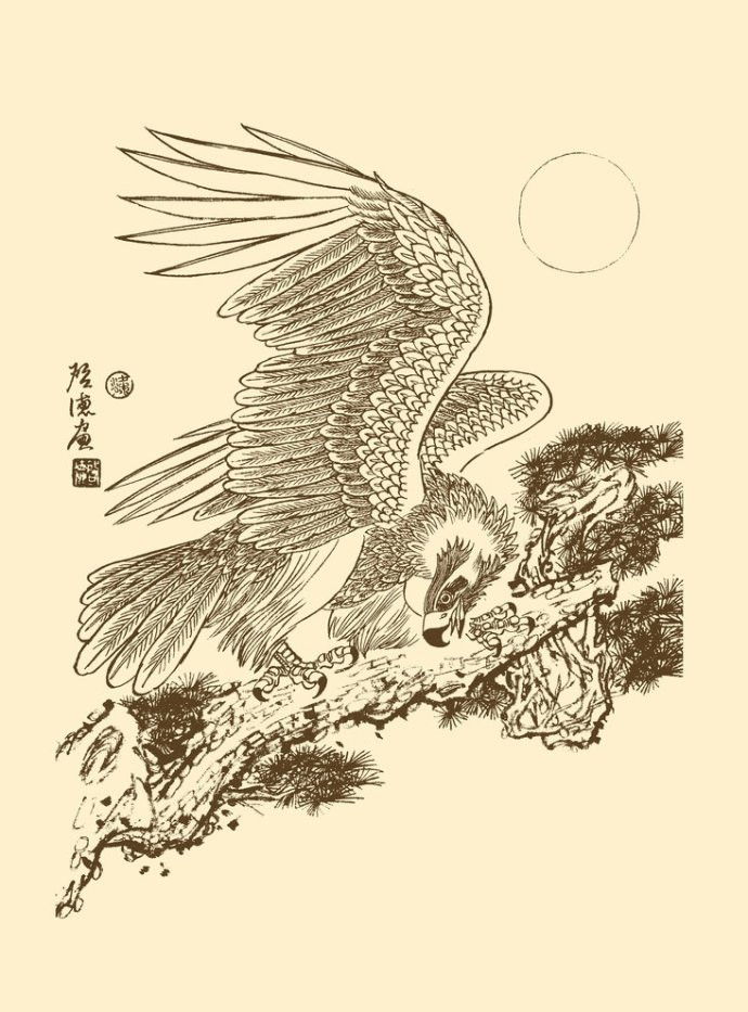 梁启德精美雄鹰白描作品