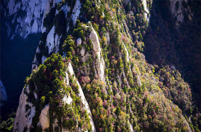 中华民族圣山——华山摄影