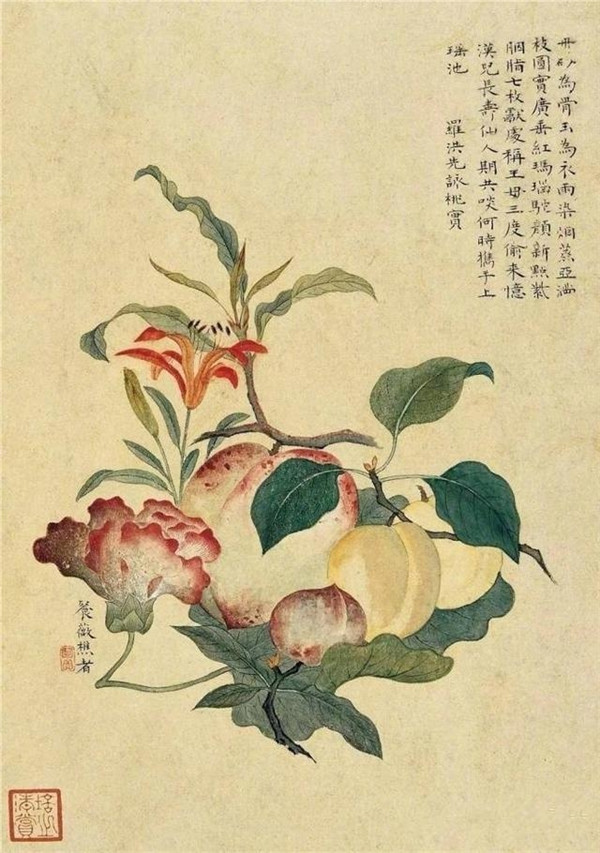 明清时代画家陈明自绘画的花卉动物