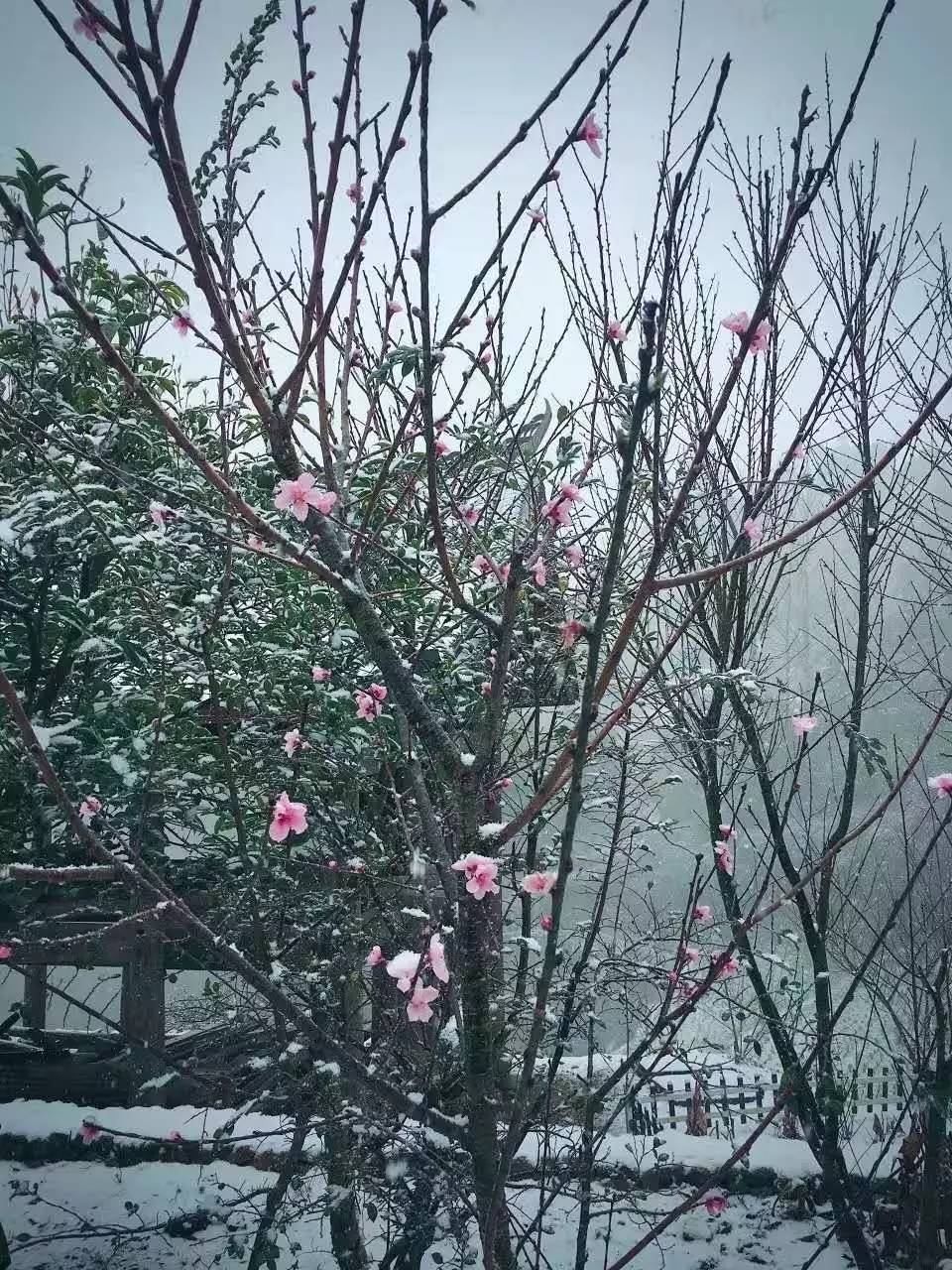 如隐·小佐居，半入溪水半入云