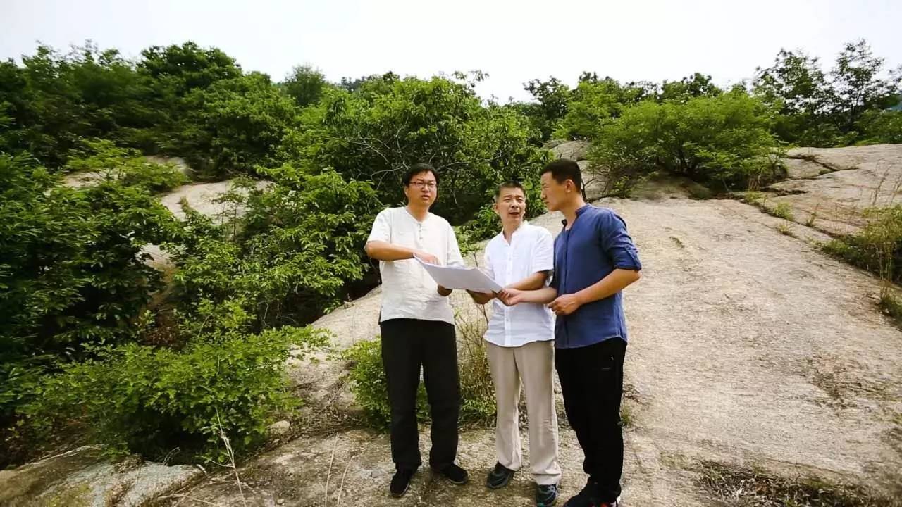 沂蒙山舍，呼吸大自然“卧听松啸 伴山而眠”