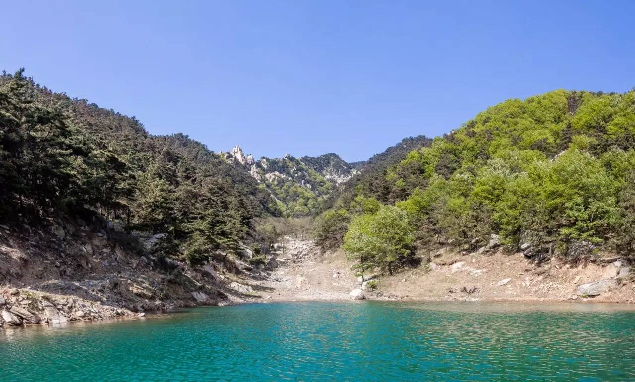 沂蒙山舍，呼吸大自然“卧听松啸 伴山而眠”