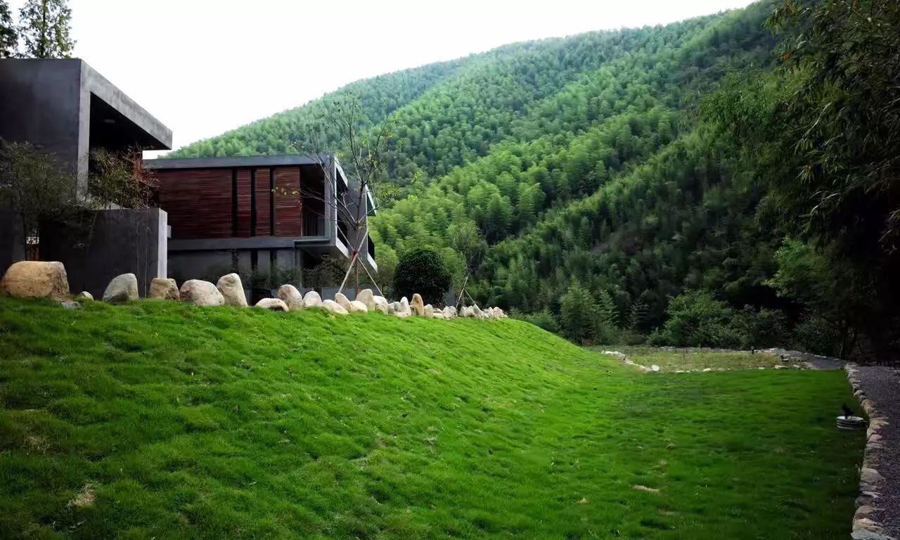 莫干山悠然九希，面朝竹海背向茶山的避暑圣地