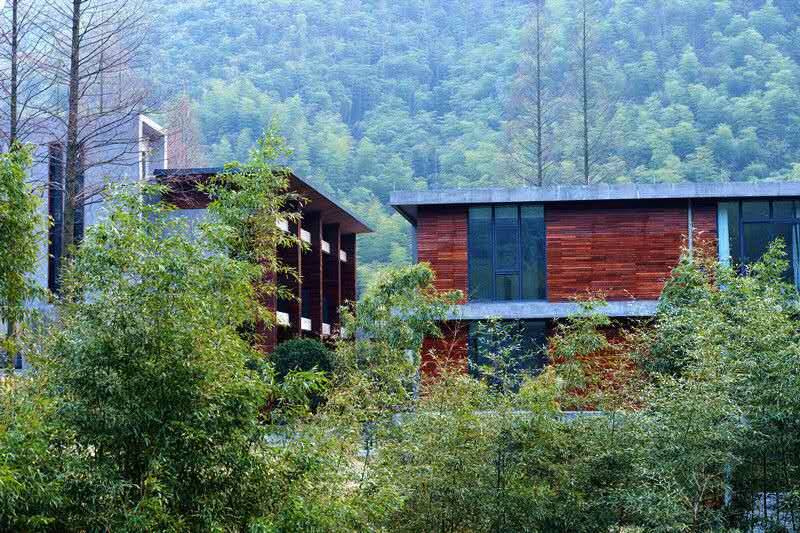 莫干山悠然九希，面朝竹海背向茶山的避暑圣地