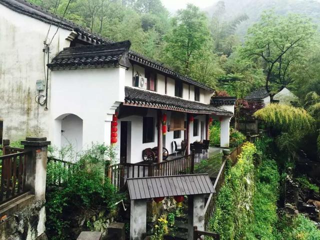 宁波·花雨醉，品花间一壶酒听雨后醉朦胧