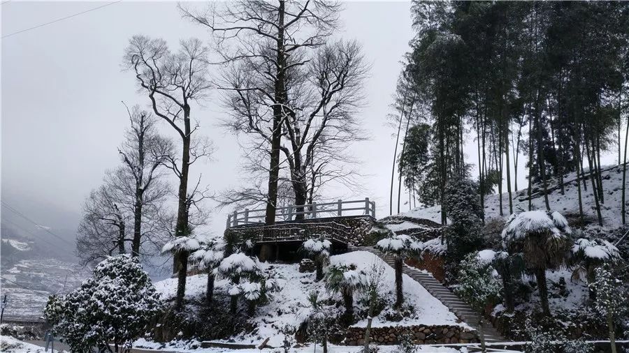 丽水·云逸远山，在牡丹亭有个仲夏夜之梦