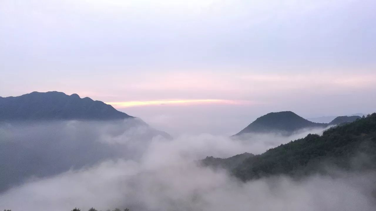 丽水·云逸远山，在牡丹亭有个仲夏夜之梦