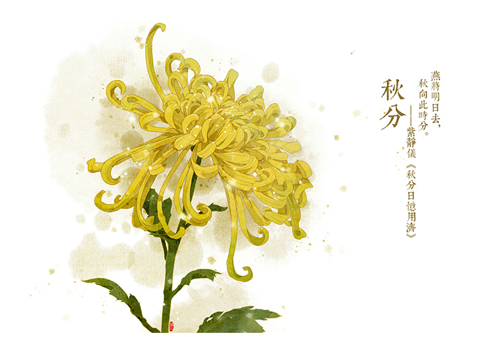 唯美的24节气花卉插画，品味古老的诗之清韵