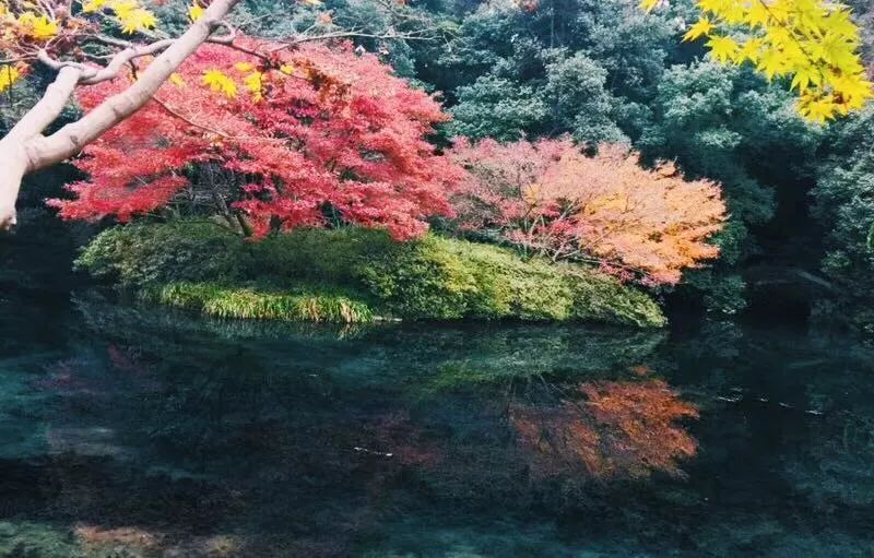 茶隐·喜在山舍，上有茶山下有九溪肆意虚度生活