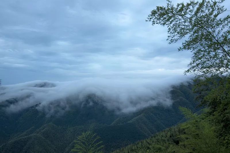 杭州·菩提谷，与你一起私有群山秘境