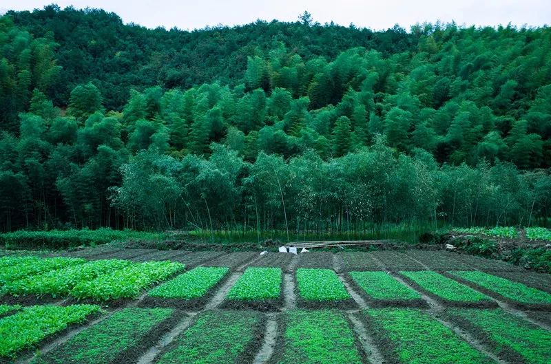 杭州·菩提谷，与你一起私有群山秘境