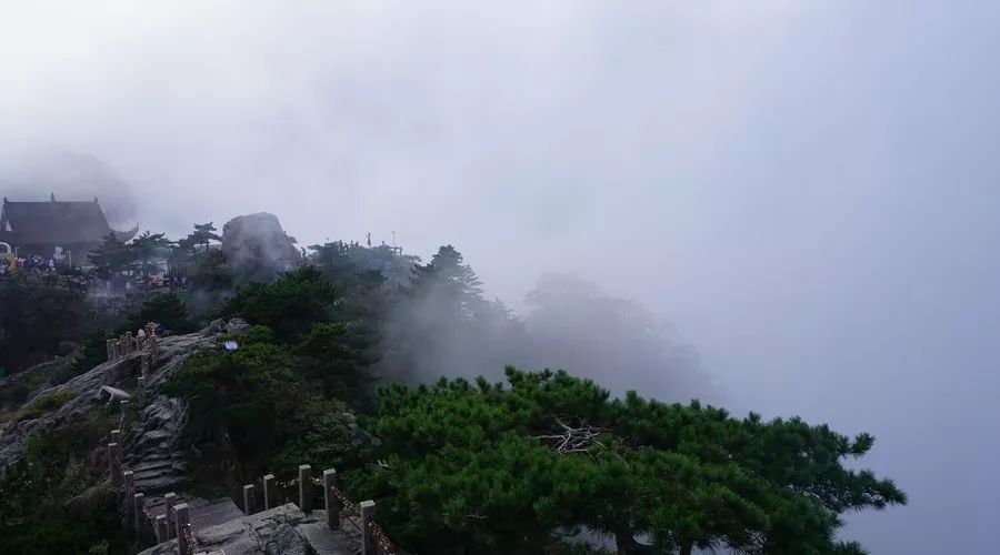 九华山·清竹里，延续和分享茶文化禅文化