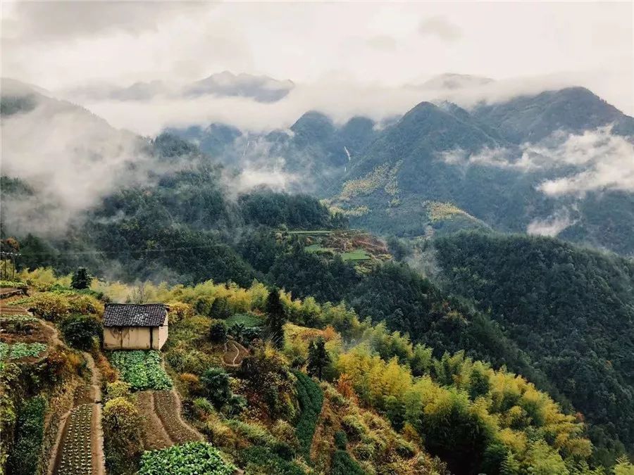 松阳·茑舍，江南秘境里最温暖的落脚处