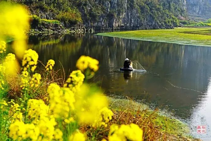 美到窒息的中国最美油菜花海，邂逅花海风景！