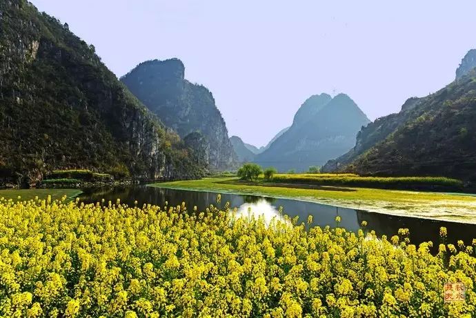 美到窒息的中国最美油菜花海，邂逅花海风景！