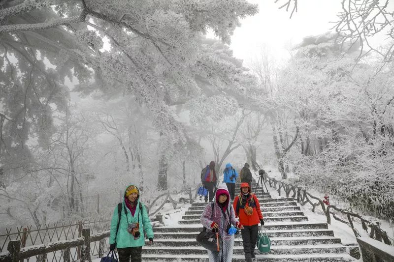 雪后黄山风景宛如人间仙境，舞一曲雪中霓裳羽