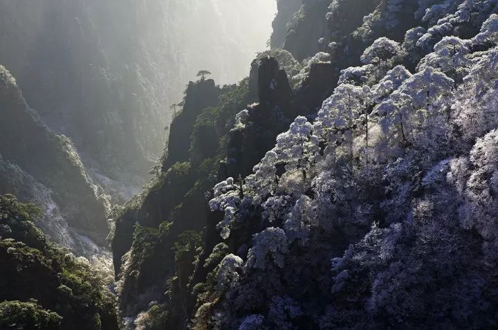 雪后黄山风景宛如人间仙境，舞一曲雪中霓裳羽