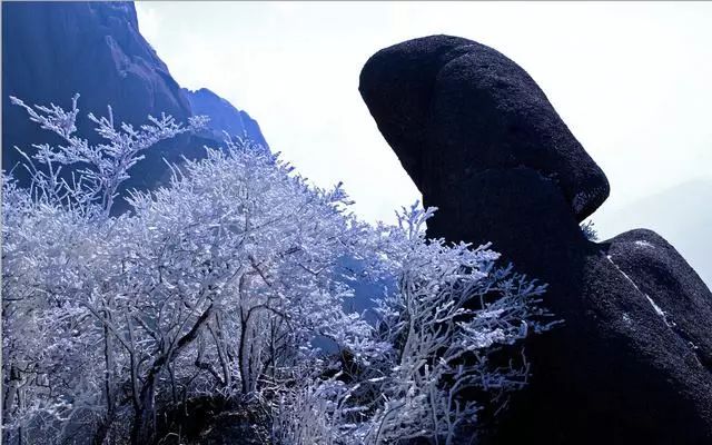 雪后黄山风景宛如人间仙境，舞一曲雪中霓裳羽