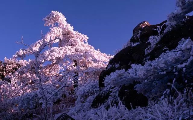 雪后黄山风景宛如人间仙境，舞一曲雪中霓裳羽