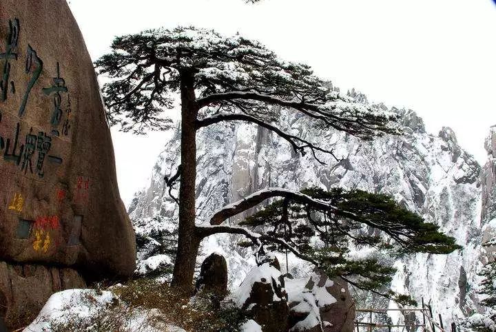 雪后黄山风景宛如人间仙境，舞一曲雪中霓裳羽