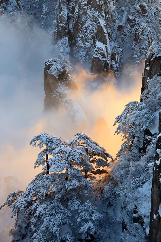 雪后黄山冰雪仙境图片