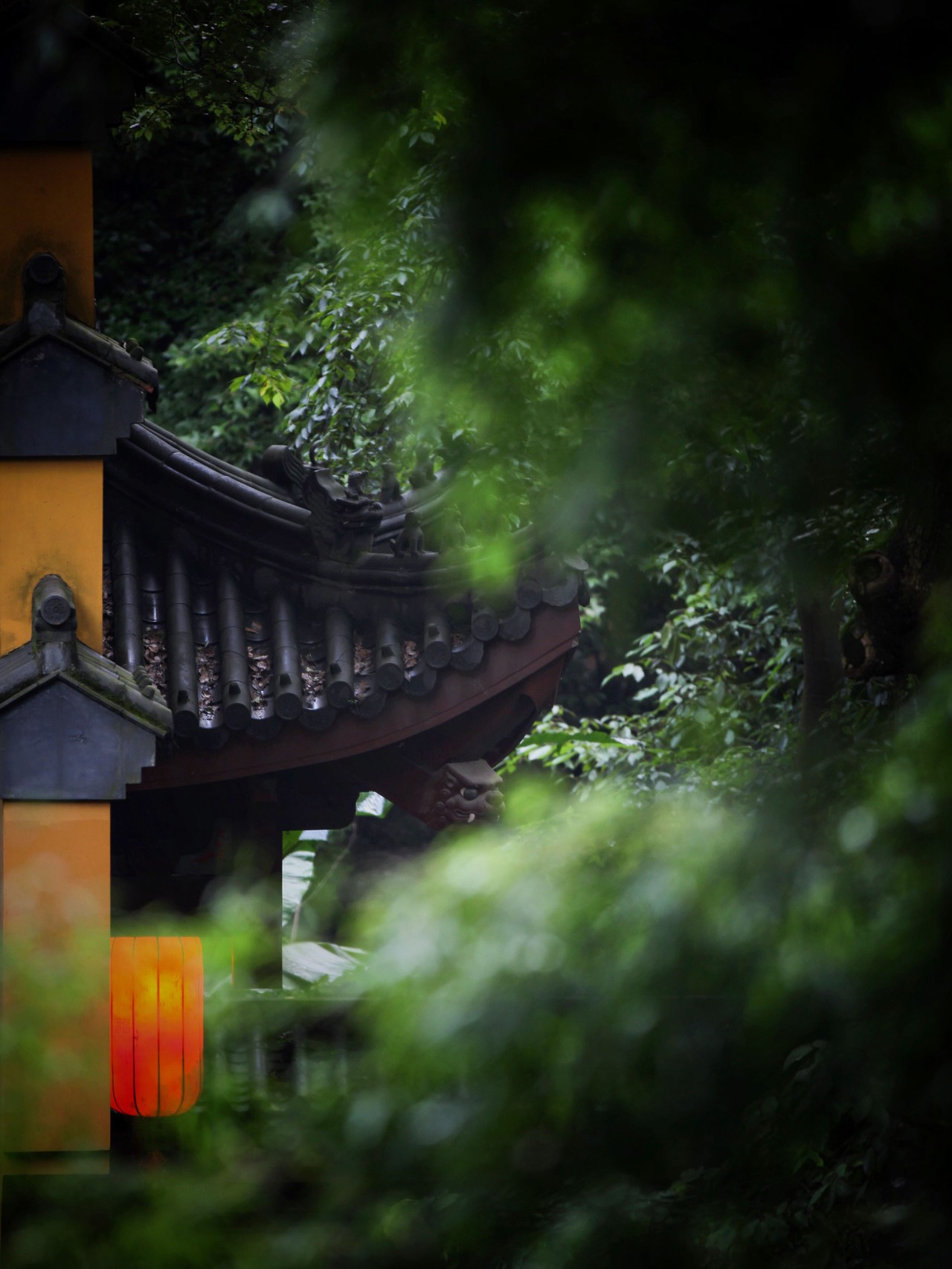 中国最美的寺庙----杭州·永福寺