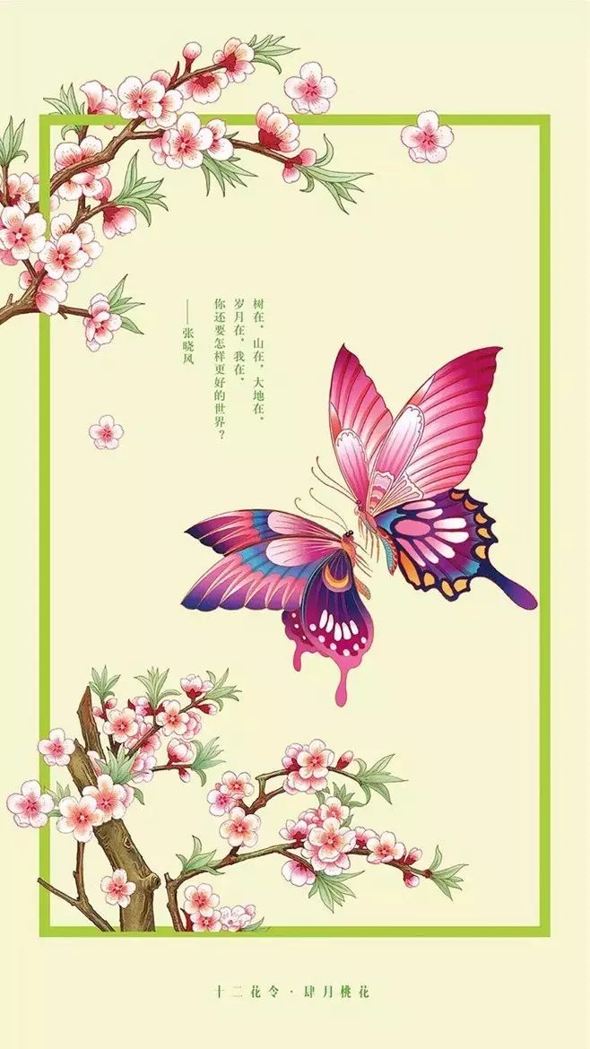 十二花令插画图片：以花为媒四季流转