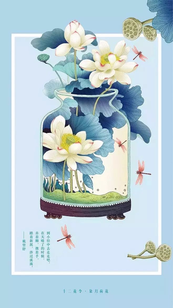 十二花令插画图片：以花为媒四季流转