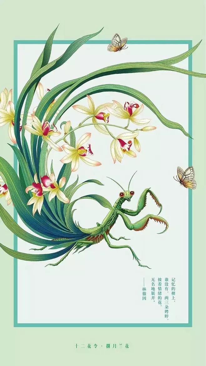 十二花令插画图片：以花为媒四季流转