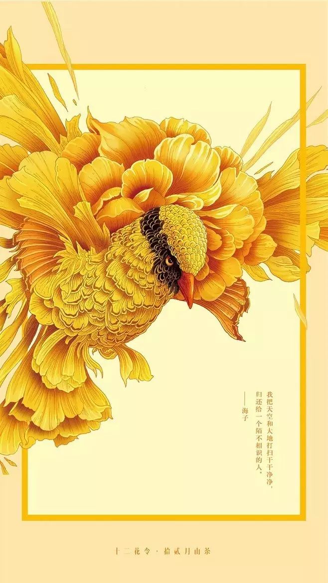 十二花令插画图片：以花为媒四季流转