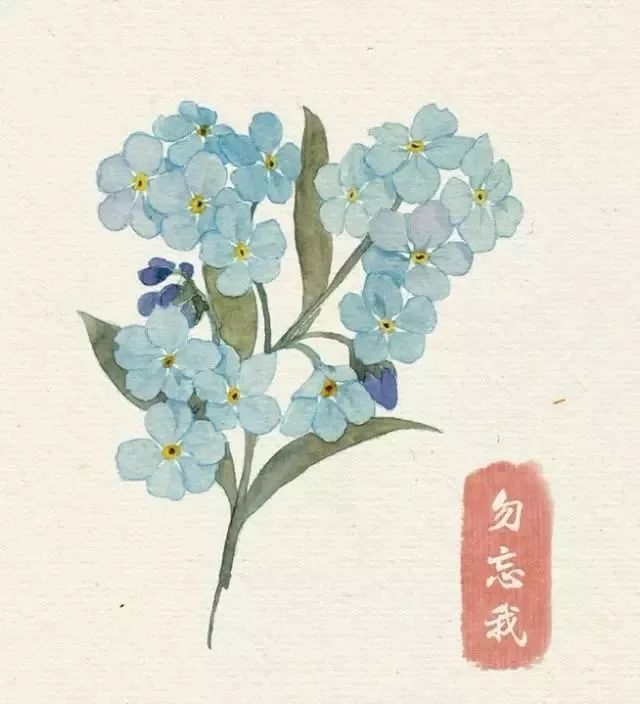 40款绝美水彩花卉手绘插画赏析