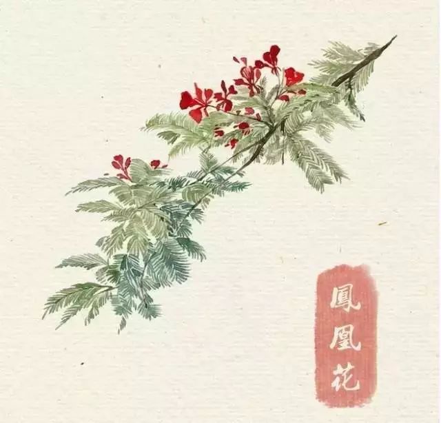 40款绝美水彩花卉手绘插画赏析