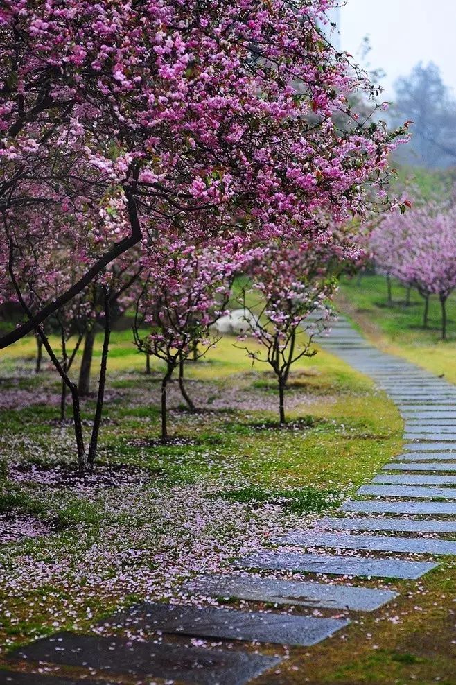 最美江南风景：人间最忆江南春