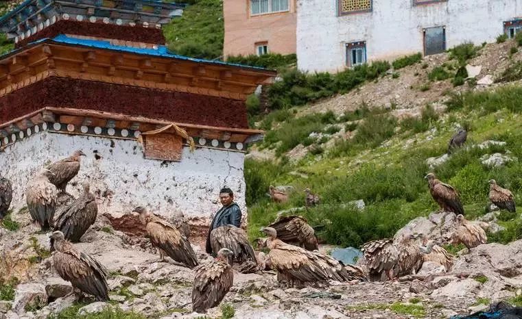 中国最险的6大寺庙：屹立千百年而不倒